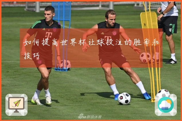 如何提高世界杯让球投注的胜率和技巧
