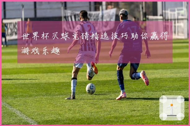 世界杯买球竞猜精选技巧助你赢得游戏乐趣