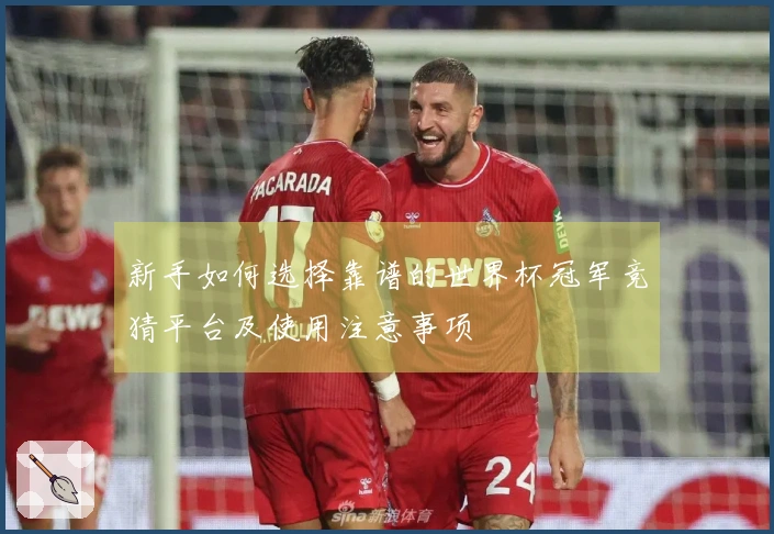 新手如何选择靠谱的世界杯冠军竞猜平台及使用注意事项