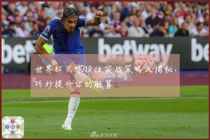 世界杯买球投注实战策略大揭秘，巧妙提升你的胜算