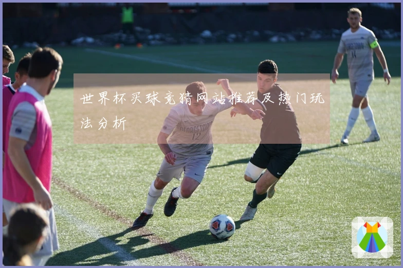 世界杯买球竞猜网站推荐及热门玩法分析