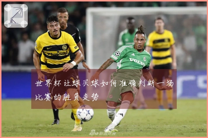 世界杯让球买球如何准确判断一场比赛的胜负走势