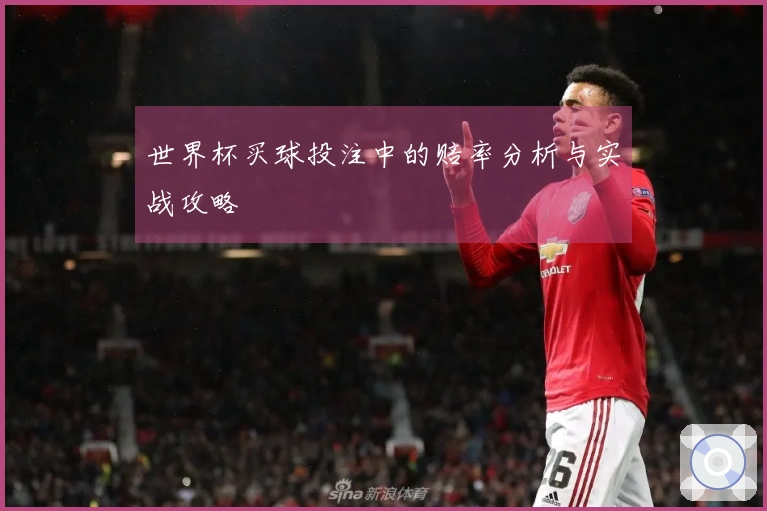 世界杯买球投注中的赔率分析与实战攻略