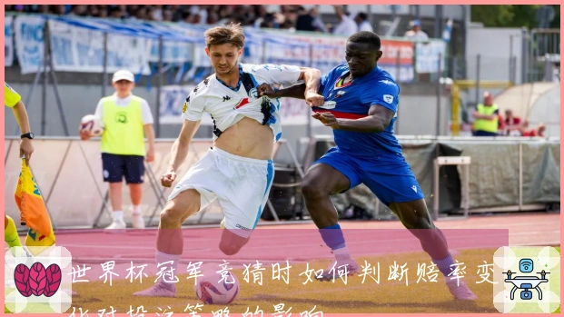 世界杯冠军竞猜时如何判断赔率变化对投注策略的影响