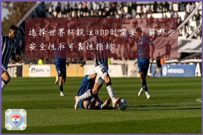 选择世界杯投注app时需要了解哪些安全性和可靠性指标
