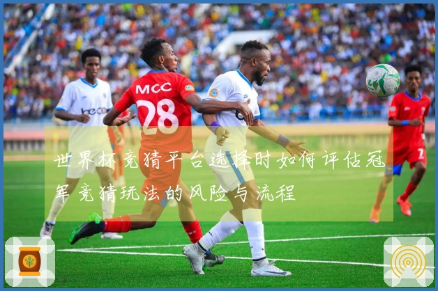 世界杯竞猜平台选择时如何评估冠军竞猜玩法的风险与流程
