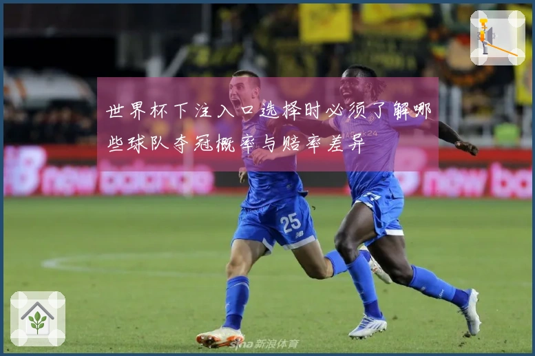 世界杯下注入口选择时必须了解哪些球队夺冠概率与赔率差异