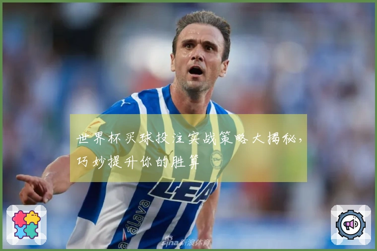 世界杯买球投注实战策略大揭秘，巧妙提升你的胜算