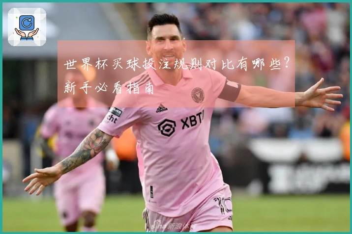 世界杯买球投注规则对比有哪些?新手必看指南