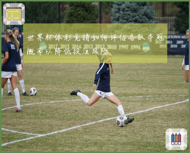 世界杯体彩竞猜如何评估各队夺冠概率以降低投注风险
