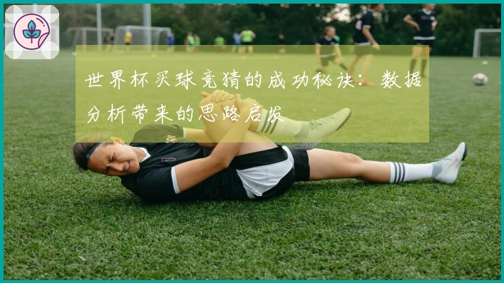 世界杯买球竞猜的成功秘诀：数据分析带来的思路启发