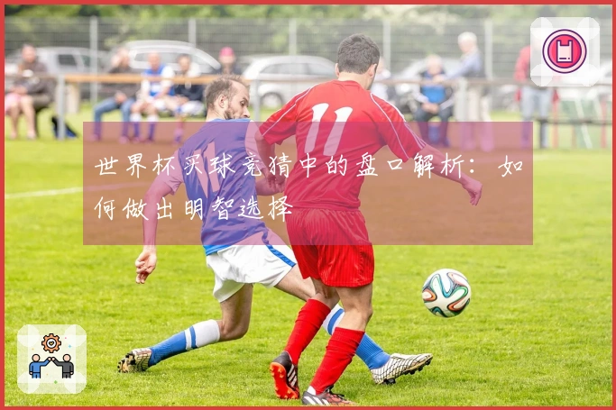 世界杯买球竞猜中的盘口解析：如何做出明智选择