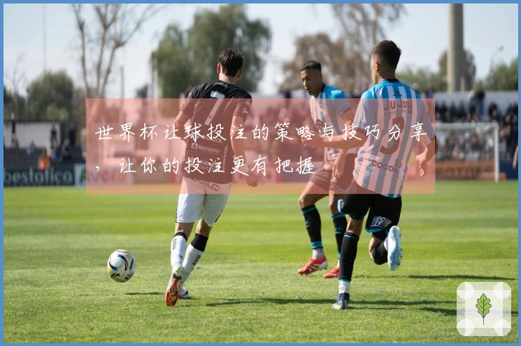 世界杯让球投注的策略与技巧分享，让你的投注更有把握
