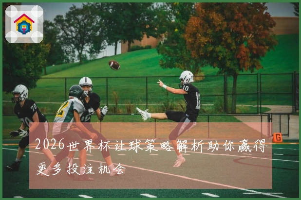 2026世界杯让球策略解析助你赢得更多投注机会