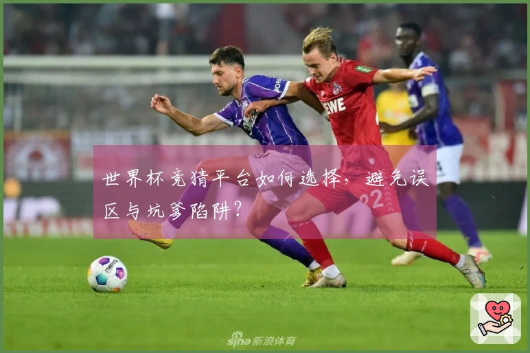 世界杯竞猜平台如何选择，避免误区与坑爹陷阱？