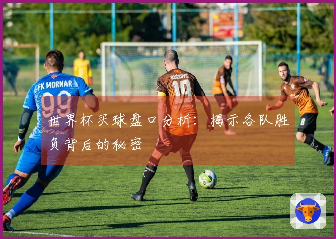世界杯买球盘口分析:揭示各队胜负背后的秘密