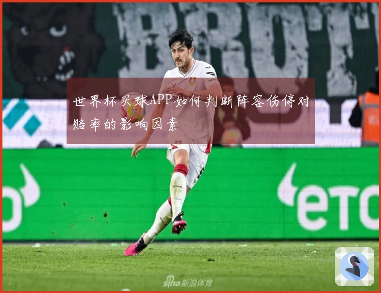 世界杯买球APP如何判断阵容伤停对赔率的影响因素