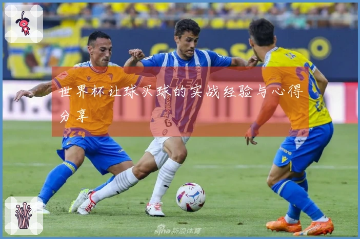世界杯让球买球的实战经验与心得分享