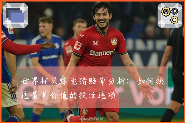 世界杯买球竞猜赔率分析：如何挑选最具价值的投注选项