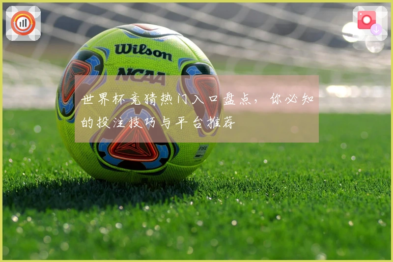 世界杯竞猜热门入口盘点，你必知的投注技巧与平台推荐