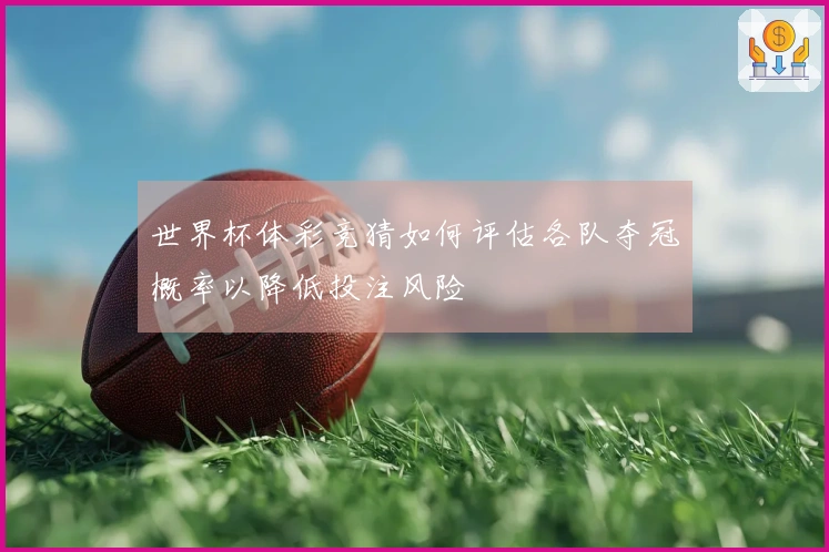 世界杯体彩竞猜如何评估各队夺冠概率以降低投注风险