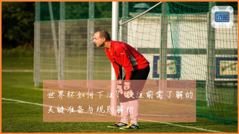 世界杯如何下注？投注前需了解的关键准备与规则解析