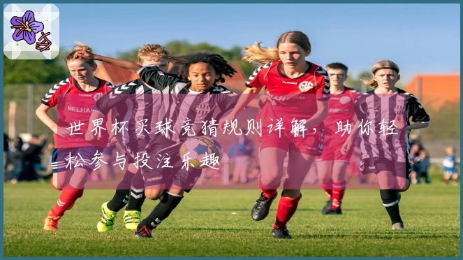 世界杯买球竞猜规则详解，助你轻松参与投注乐趣