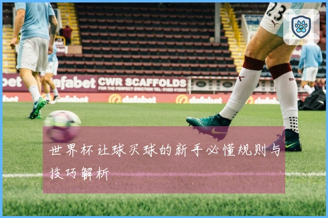 世界杯让球买球的新手必懂规则与技巧解析