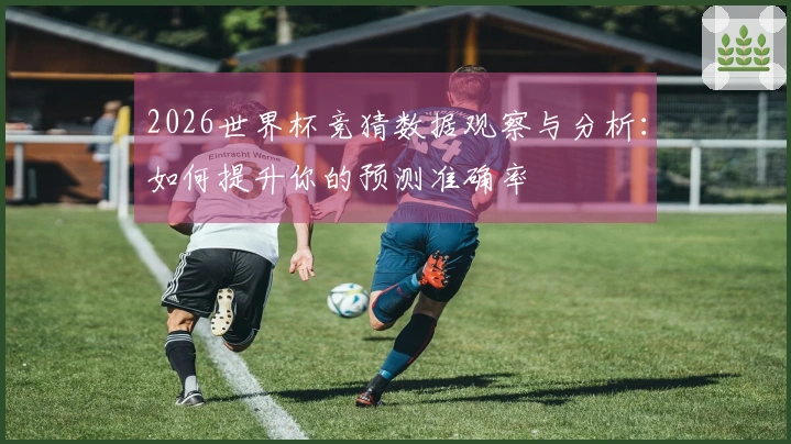 2026世界杯竞猜数据观察与分析：如何提升你的预测准确率