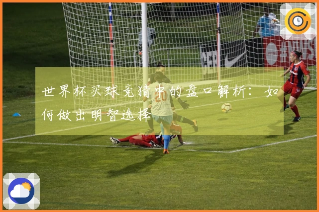 世界杯买球竞猜中的盘口解析：如何做出明智选择