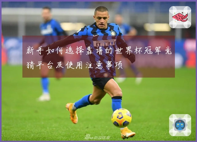 新手如何选择靠谱的世界杯冠军竞猜平台及使用注意事项