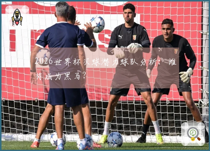 2026世界杯买球潜力球队分析：谁将成为黑马？