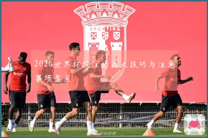 2026世界杯投注的几大技巧与注意事项盘点