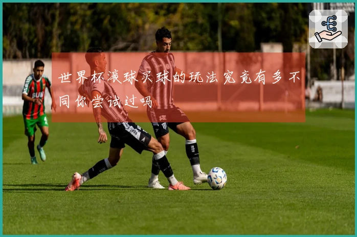 世界杯滚球买球的玩法究竟有多不同你尝试过吗