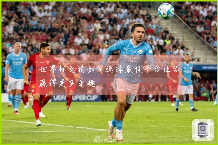 世界杯竞猜如何选择最佳平台让你赢得更多乐趣