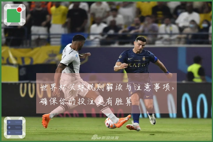 世界杯买球规则解读与注意事项，确保你的投注更有胜算