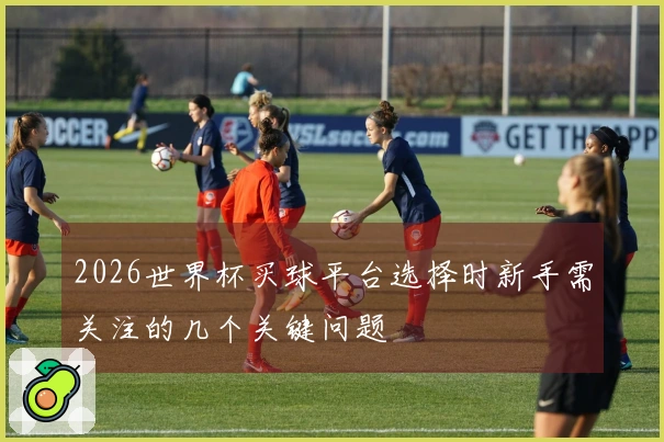 2026世界杯买球平台选择时新手需关注的几个关键问题