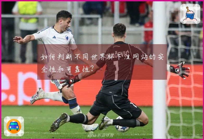 如何判断不同世界杯下注网站的安全性和可靠性？