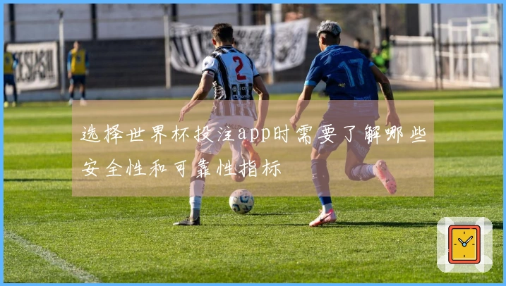 选择世界杯投注app时需要了解哪些安全性和可靠性指标