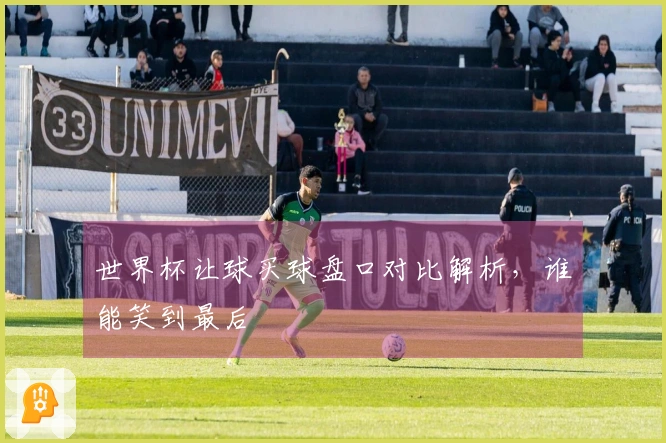 世界杯让球买球盘口对比解析，谁能笑到最后